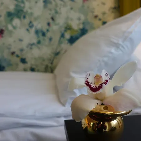 Hotel Thon Lofoten 4*